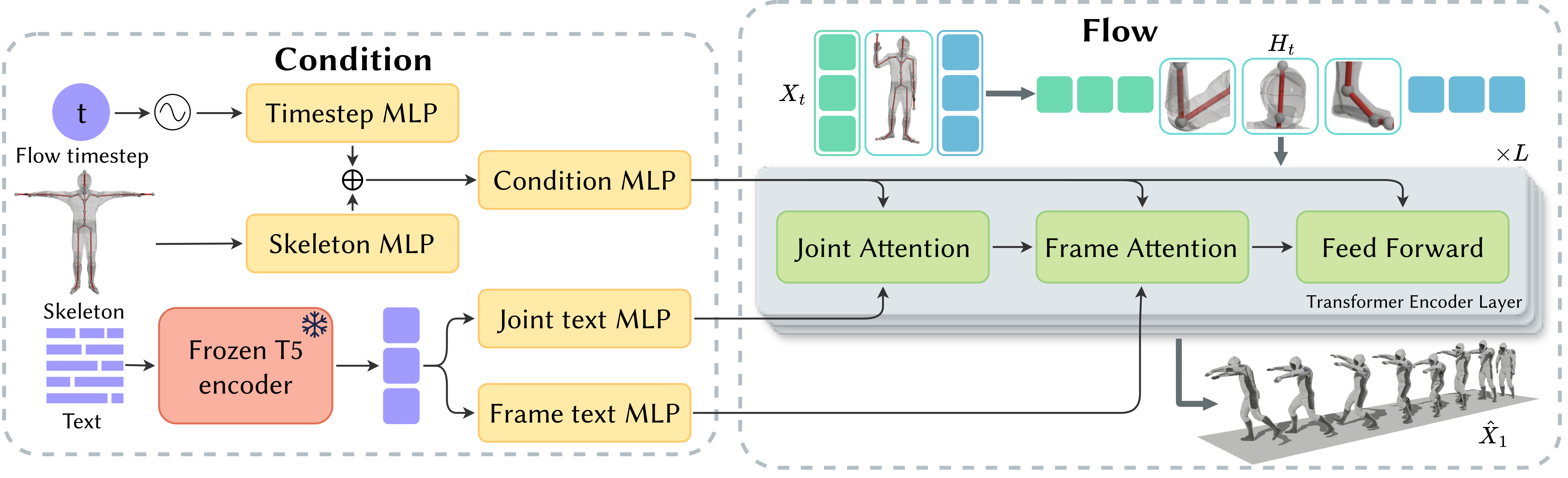 Model architecture